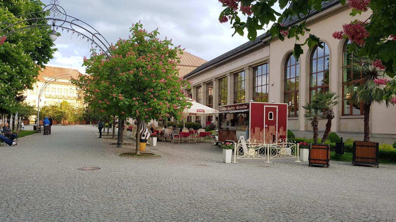 Apartamencik Maja Studio Apartment Kudowa-Zdrój Exterior foto