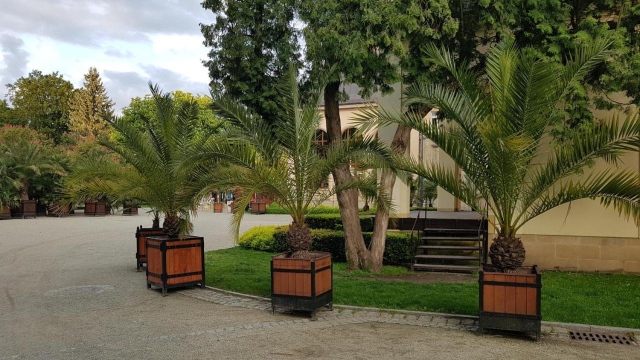 Apartamencik Maja Studio Apartment Kudowa-Zdrój Exterior foto